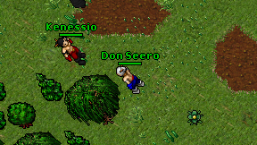 Don Seero on screen