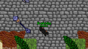 Rakidu on screen