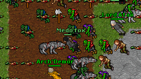 Medo fox on screen