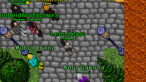 Ledo Zepsi on screen