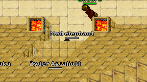 Mad elephant on screen