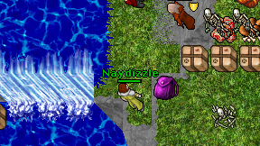 Naydizzle on screen