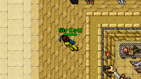 Sir Koti on screen