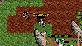 Xugegop on screen