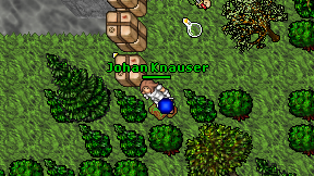Johan Knauser on screen