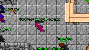 Swiftcricket Pengus on screen