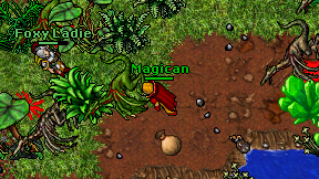 Magican on screen