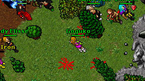Goguko on screen