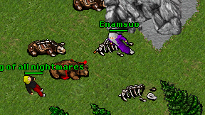 Enamsuo on screen
