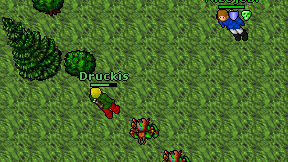 Druckis on screen