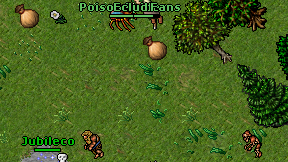 Eclud Fans on screen
