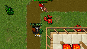 Fabris on screen
