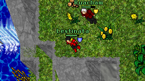 Lestinata on screen