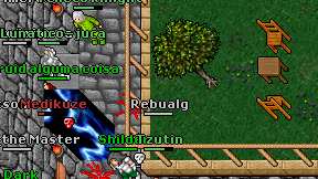 Rebualg on screen