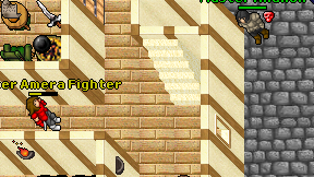 Master Amera Fighter on screen