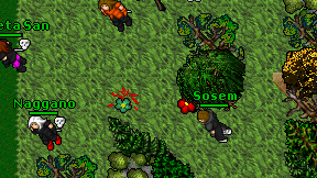 Sosem on screen