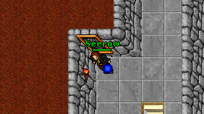 Seerow on screen