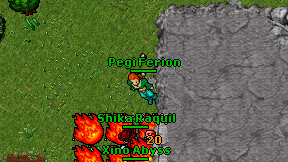 Pegi Ferion on screen