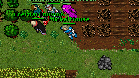 Mickei Mouse on screen