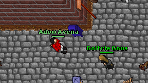 Adow Avena on screen