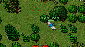Kamilkamil on screen