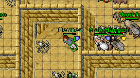 Hermez on screen