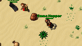 Emma Hopper on screen