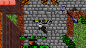 Laus Cedo on screen