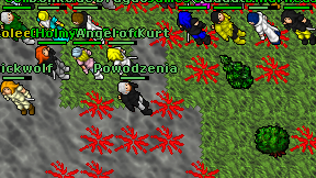 Powodzenia on screen