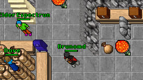 Brunomd on screen
