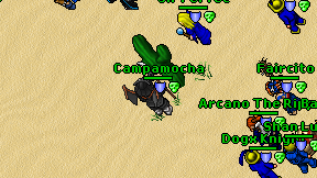 Campamocha on screen