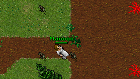 Manoon on screen