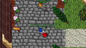 Druid fucznik on screen