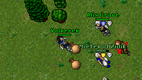 Valkerek on screen