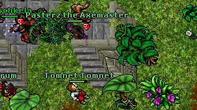 Tomnet Tomnet on screen