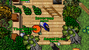 Invernus on screen