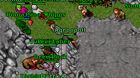 Agroopoll on screen