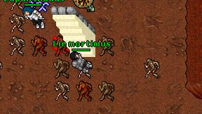 Lie mortimus on screen