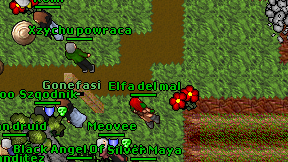 Elfa del mal on screen