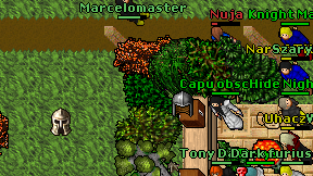 Marcelomaster on screen