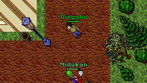 Diegoho on screen