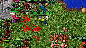 Fenix'Flame on screen