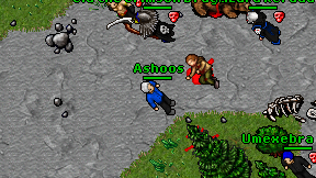 Ashoos on screen