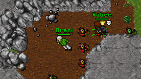 Braol on screen
