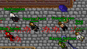 Master Fort on screen