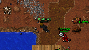 Ralliuz on screen