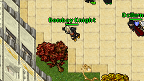 Bombay Knight on screen