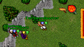 Twi'Swordmaster on screen