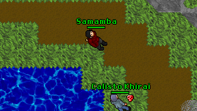 Samamba on screen
