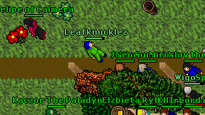 Leafknucklez on screen